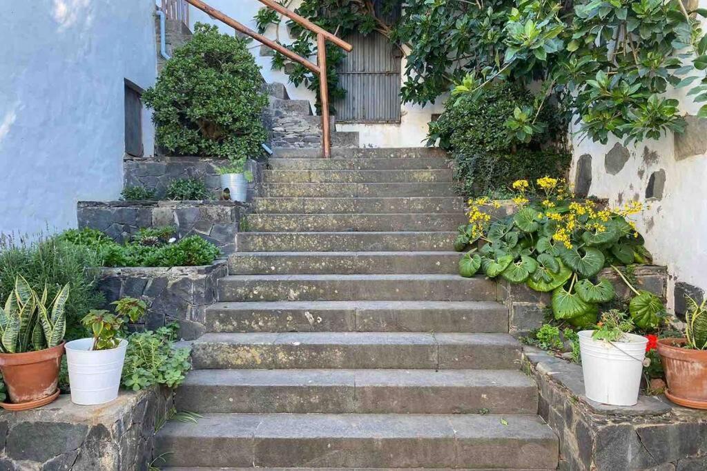 Ferienwohnung Casita Bioclimatica En El Campo Arucas Exterior foto