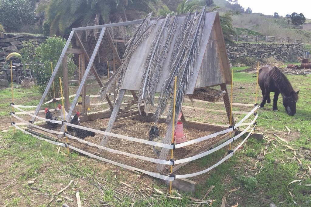 Ferienwohnung Casita Bioclimatica En El Campo Arucas Exterior foto