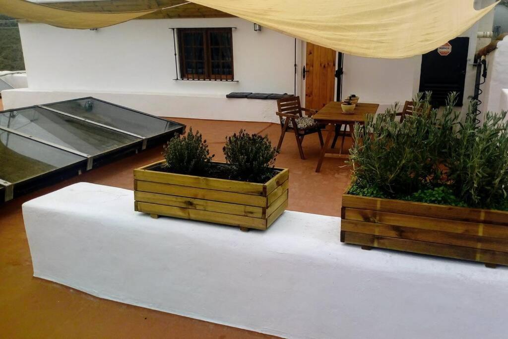 Ferienwohnung Casita Bioclimatica En El Campo Arucas Exterior foto